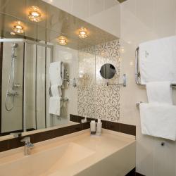 Номер люкс (с завтраком)