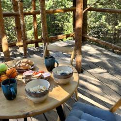 Фото Отель Хвойная хижина