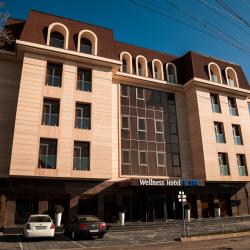 Фото Отель Wellness Hotel and Spa (Велнесс)
