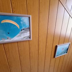 Фото Отель Лесная жемчужина