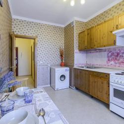 фото 47 Домотелли на проспекте Коломяжский 15к1