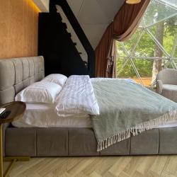 Купольный дом AURA