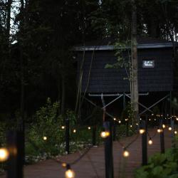 Фото Отель В Кронах