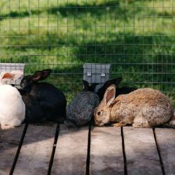 Фото Отель Сказка Алтая