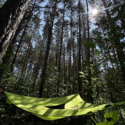 Фото Отель Гостевые дома A-frame (А-фрейм)