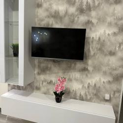 1-комнатные апартаменты улучшенные
