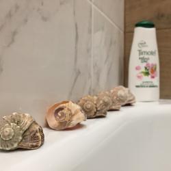 1-комнатные апартаменты люкс