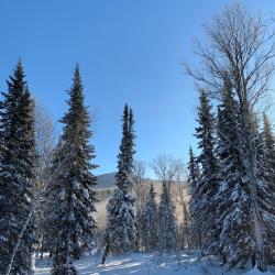 Фото Отель Vektor (Вектор)