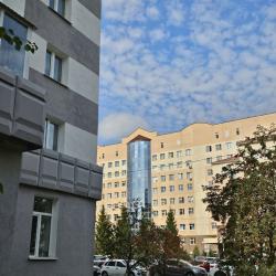 Фото Апартаменты Ботаника на улице Мингажева 109/Кирова 48