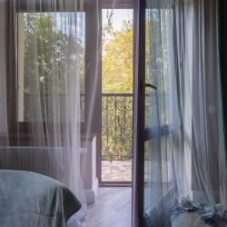 Номер люкс с 1 двуспальной кроватью Прованс № 30