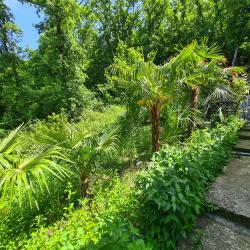 Фото Отель Оранжевое Солнце