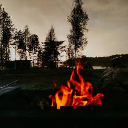 Фото Отель Медвежья лапа