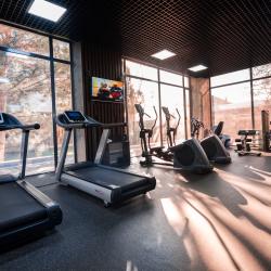 Фото Отель Wellness Hotel and Spa (Велнесс)