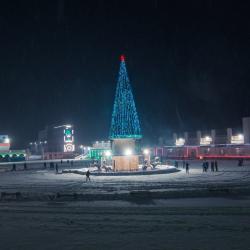 Фото Отель Сибирская Венеция