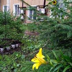 Фото Отель Модуль