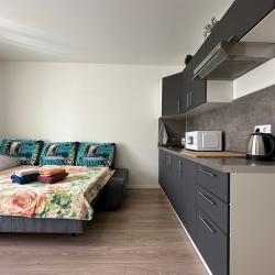 Фото Апартаменты на улице Рябиновая