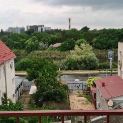 Фото Отель Кипарис