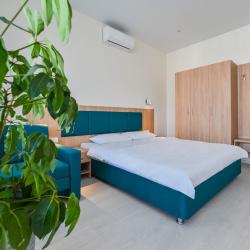 Номер стандарт с 1 двуспальной кроватью и террасой