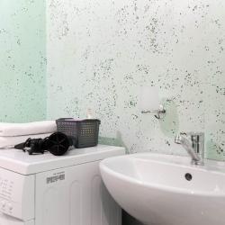 Фото Отель Просторная квартира с джакузи