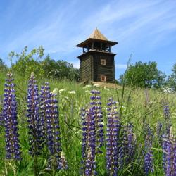 Фото Отель Волынь