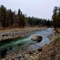 Фото Апарт-отель Les (Лес)