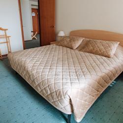 DIS President hotel (Дис Президент) — 88e844dfcc8af40a5fd7fff69eee4521