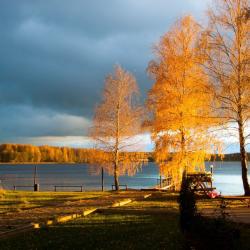 Фото Отель Хаски Хаус