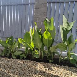 Фото Отель Коттедж Скандинавия Анапа