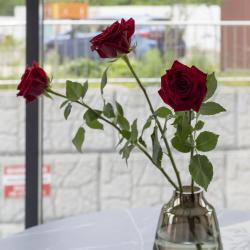 2-комнатные апартаменты улучшенные Партизанский проспект 45В кв 12/2