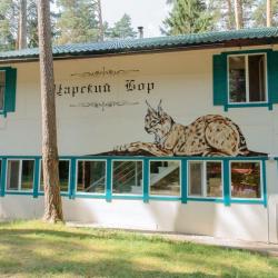 Номер стандарт семейный с 1 двуспальной кроватью №4 (Царский Бор)