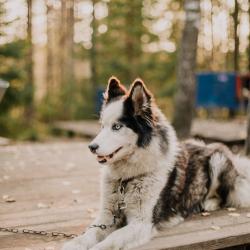 Фото Отель Пасторское озеро