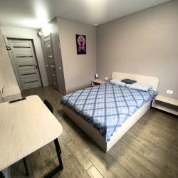 Фото Отель Гостевой дом Пчелка