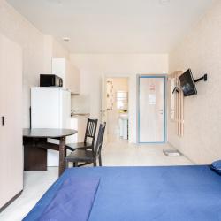 1-комнатные апартаменты студия Анны Ахматовой 11к1