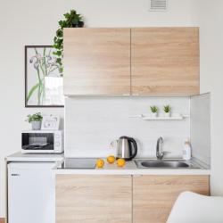Апартаменты студия RoomyRoom Flora
