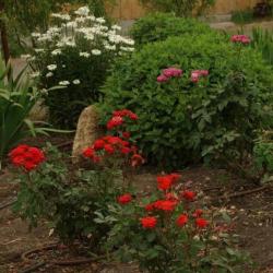 Фото Отель Любимая Усадьба