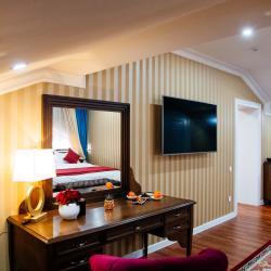 Номер комфорт стандарт (мансарда)