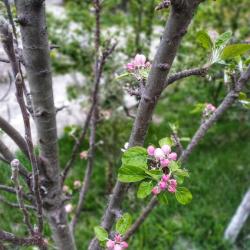 Фото Отель Town Park (Таун парк)