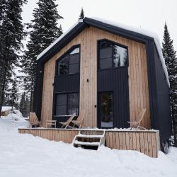 Коттедж премиум