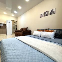 1-комнатные апартаменты студия Смолина 67/1-95 (студия)