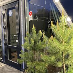 Фото Отель Страна Оз