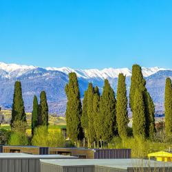 Фото Отель Platan (Платан)