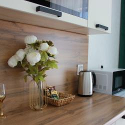 1-комнатные апартаменты стандарт