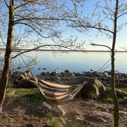 Фото Отель Финский Лес