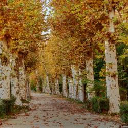 Фото Отель База отдыха Жоэквара