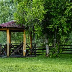 Фото Отель Кедровый берег