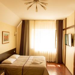 Номер стандарт с 1 двуспальной кроватью (Корпус 1 - А,В)