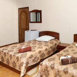 Номер делюкс комфорт с 2 односпальными кроватями