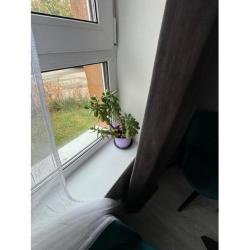 Фото Отель RentMe 24 (РентМи) на бульваре Солнечный 19