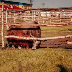 Фото Отель на Страусиной ферме
