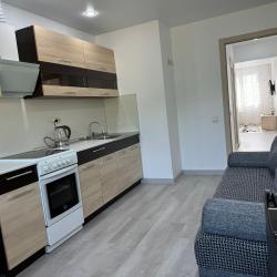 Фото Апартаменты на улице Полковника Фесюна 17